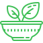 icon png